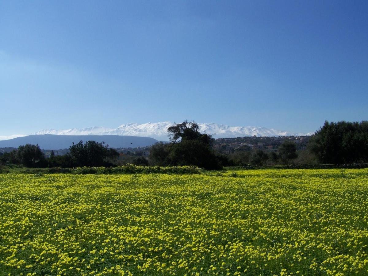 Manolo S Olive Farm, Apartment With Seaview Ханья Экстерьер фото