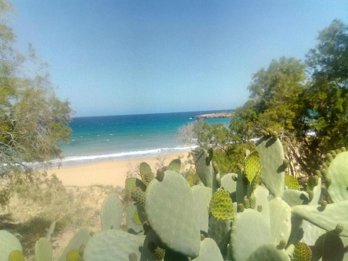 Manolo S Olive Farm, Apartment With Seaview Ханья Экстерьер фото